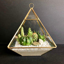 Load image into Gallery viewer, Geometric Terrarium
