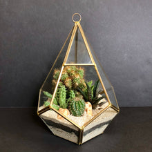 Load image into Gallery viewer, Geometric Terrarium
