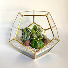 Load image into Gallery viewer, Geometric Terrarium
