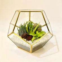 Load image into Gallery viewer, Geometric Terrarium
