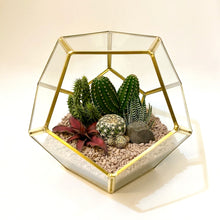 Load image into Gallery viewer, Geometric Terrarium
